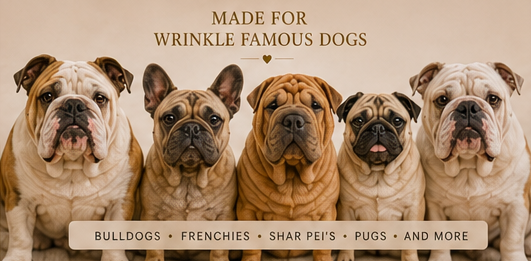 TWINKLE TWINKLE WRINKLE WRINKLE | Premium Dog Wrinkle Serum