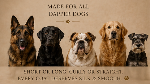 SILK & SMOOTH™ | Luxury Skin & Coat Oil For Male Dogs — DAPPER DOG™