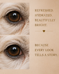 OVER THE MOON & UNDER THE EYE | Premium Dog Eye Serum