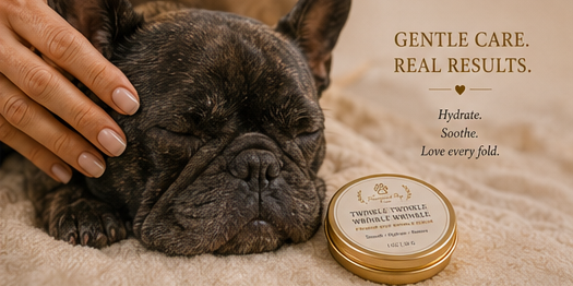 TWINKLE TWINKLE WRINKLE WRINKLE | Premium Dog Wrinkle Serum